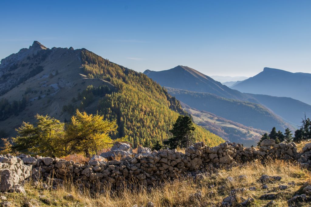 MORDEFROID Xavier : Accompagnateur en montagne, éducateur à l'environnement, photographe