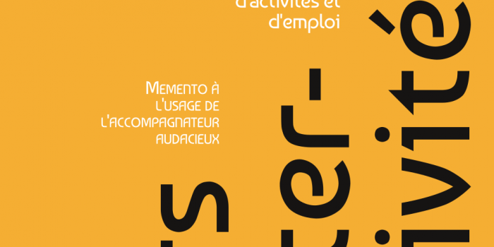 « Vers l’alter-activité », restitution d’une expérimentation d’accompagnement à la pluriactivité à Coodyssée