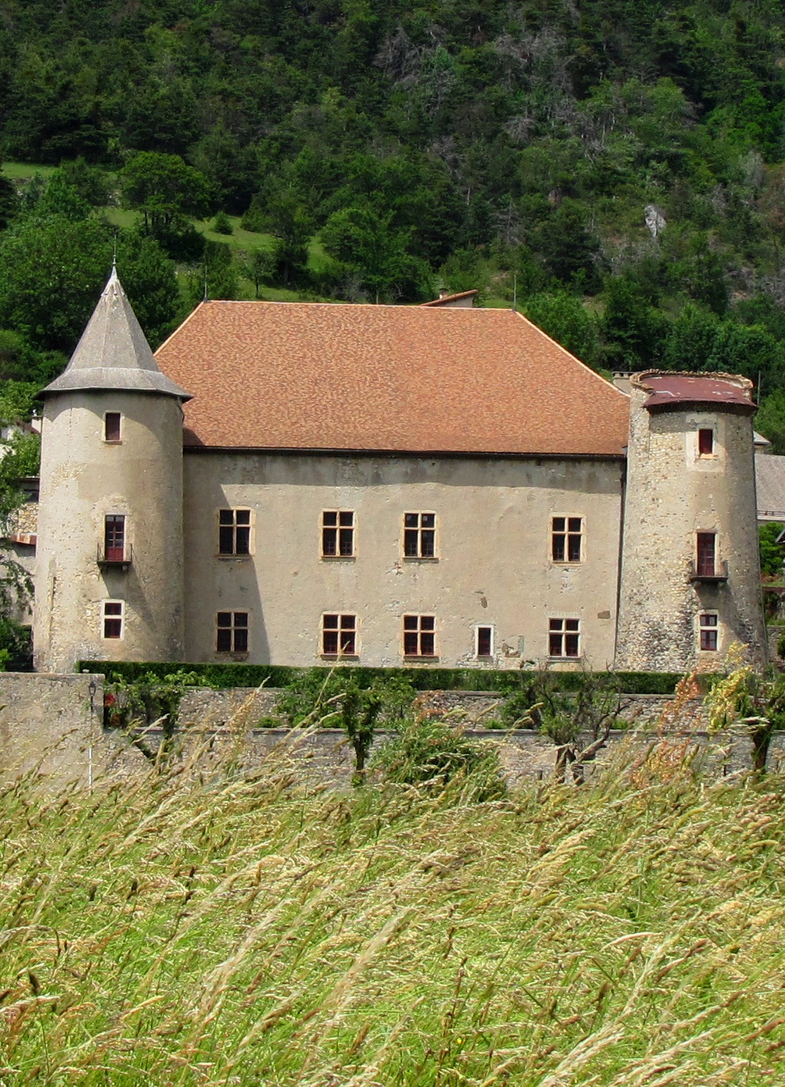Chateau de Montmaur