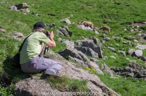 Formation photo Hautes-Alpes